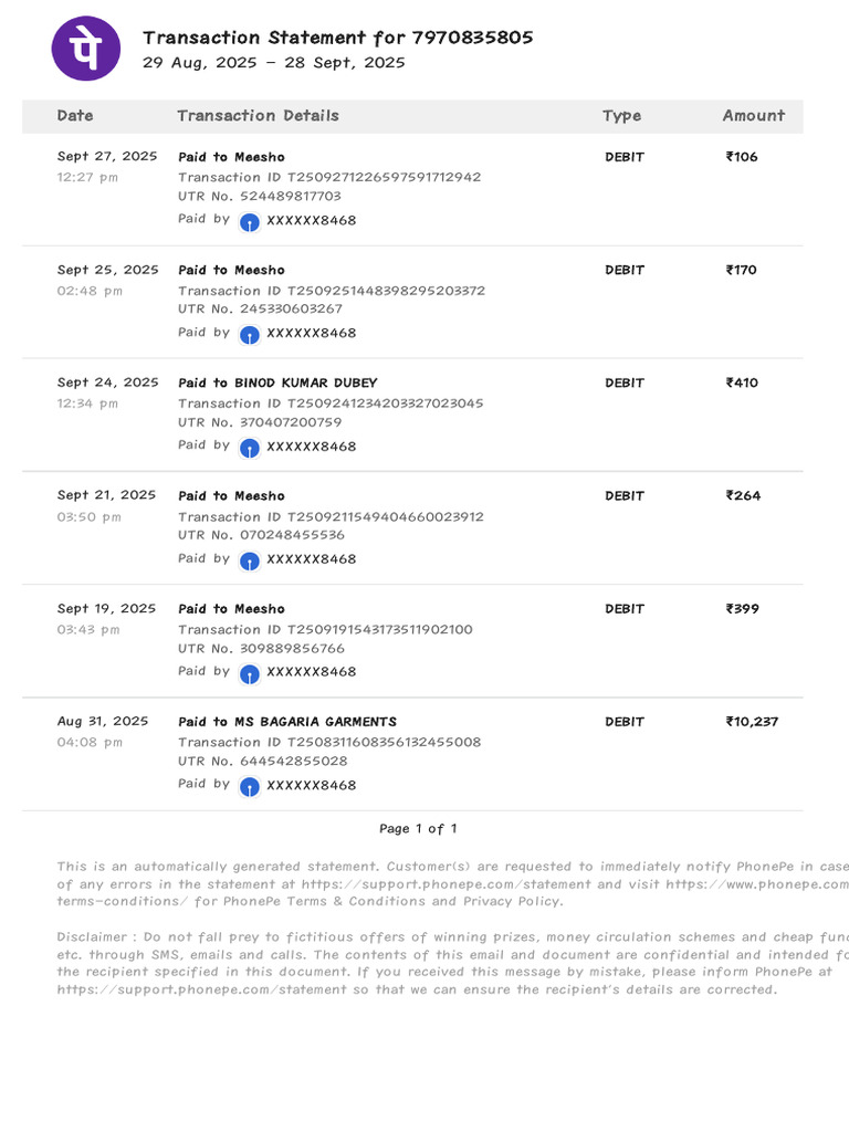 PhonePe Transaction Statement Summary | PDF