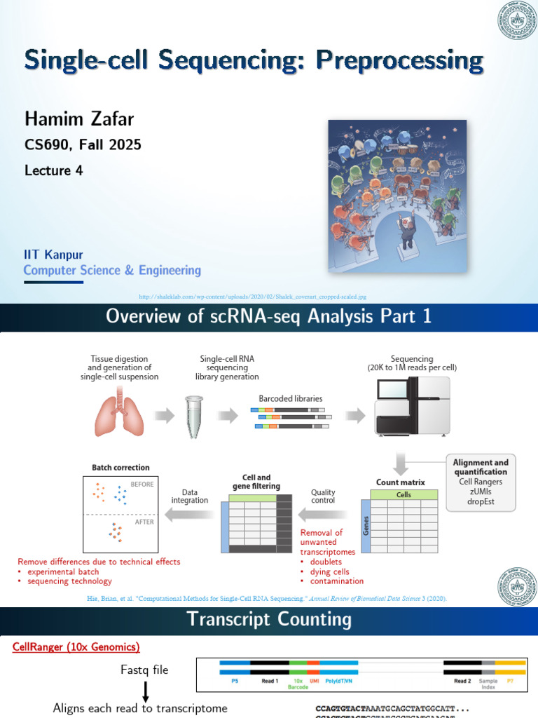 Lec4 p1 SC Preprocess | PDF | Transcriptome | Biology