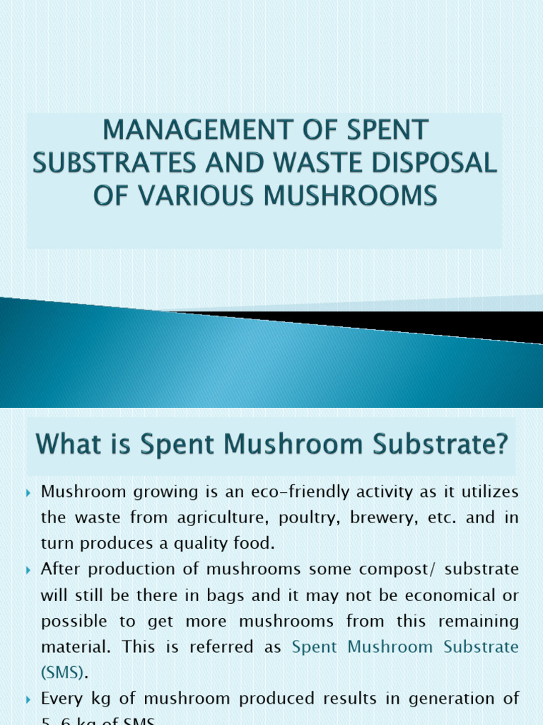 Lesson 13 - Substrate Management | PDF | Soil | Compost