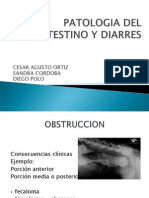 Patologia Del Intestino y Diarres