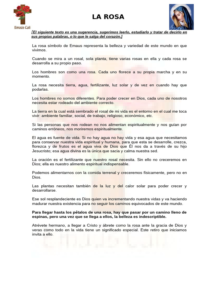 La Rosa | PDF
