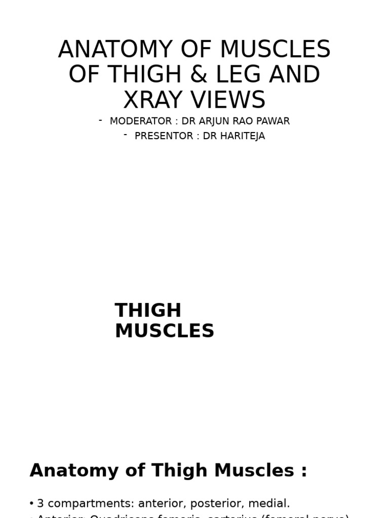 Anatomy of Muscles of Thigh & Leg and (Autosaved) | PDF | Knee | Human Leg
