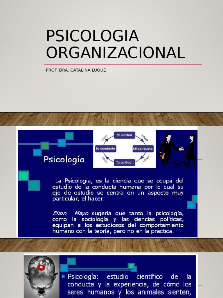 Psicologia Organizacional - Clase Virtual 1 | PDF