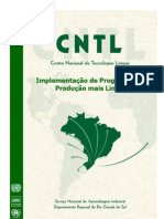 CNTL_guia_P_L