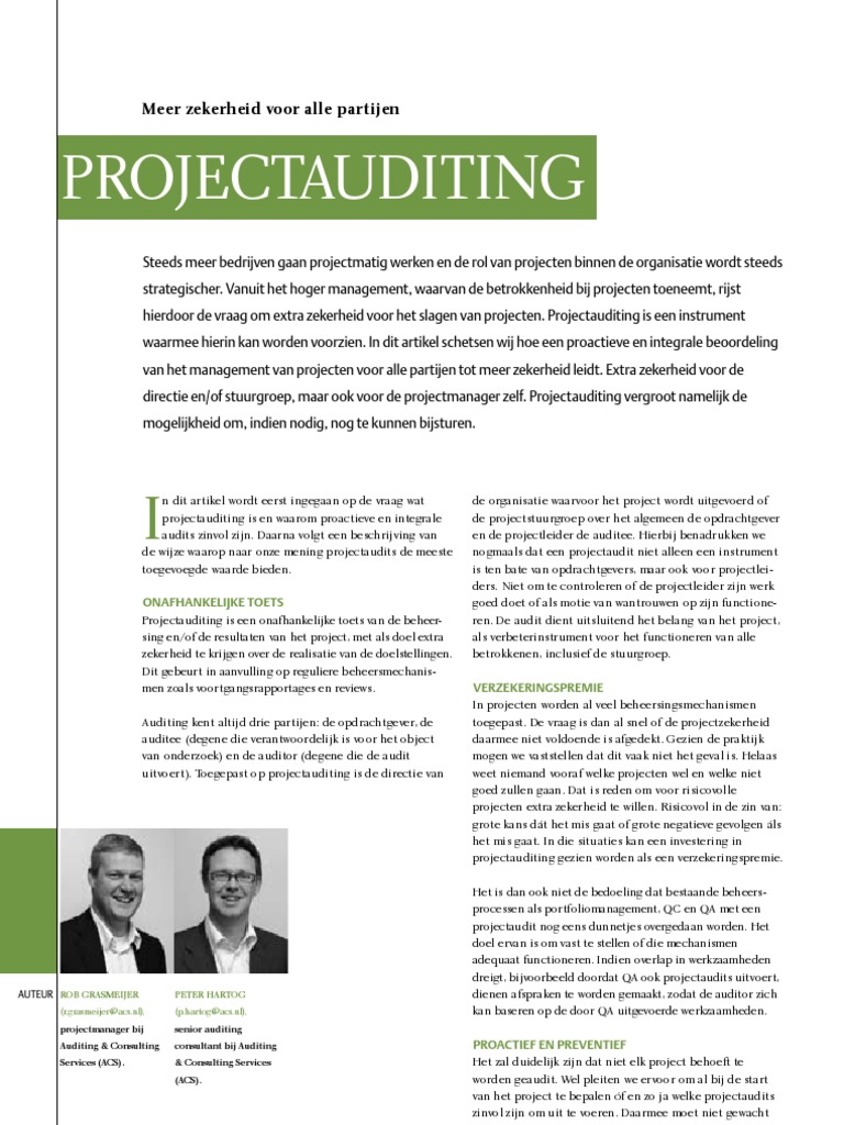 Project Auditing | PDF