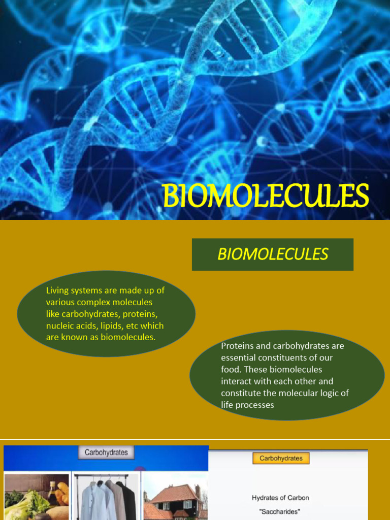 Biomolecules Full Chapter Pdf Carbohydrates Nucleic Acids