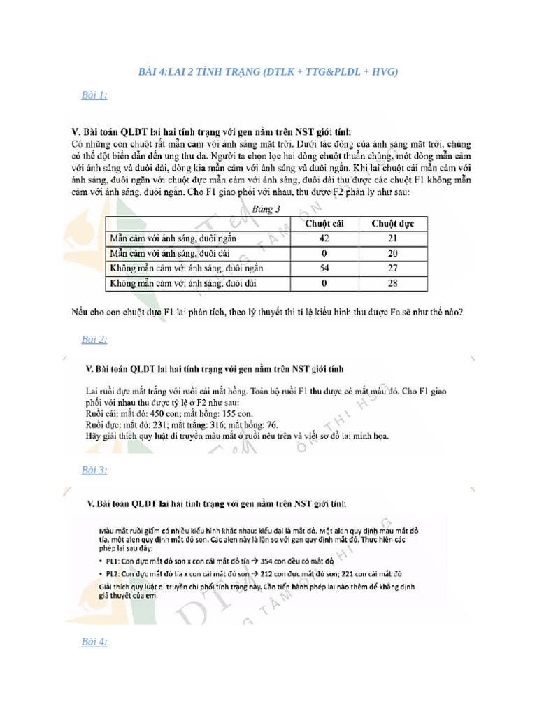 QLDT Dted | PDF
