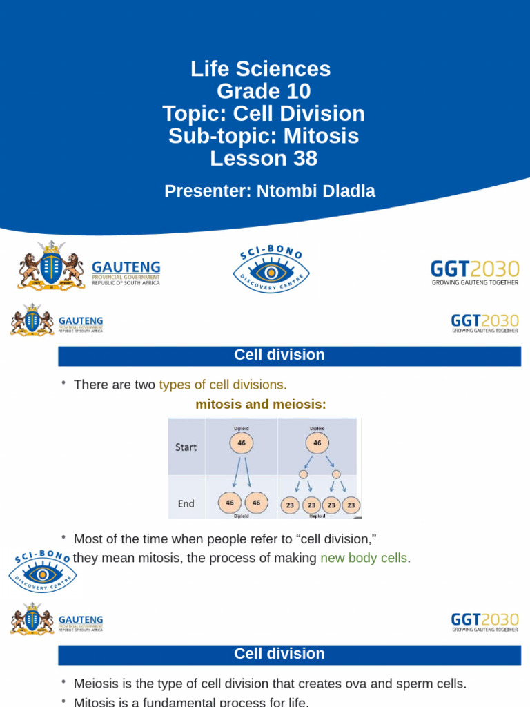 Understanding Mitosis in Cell Division | PDF | Cell (Biology) | Meiosis