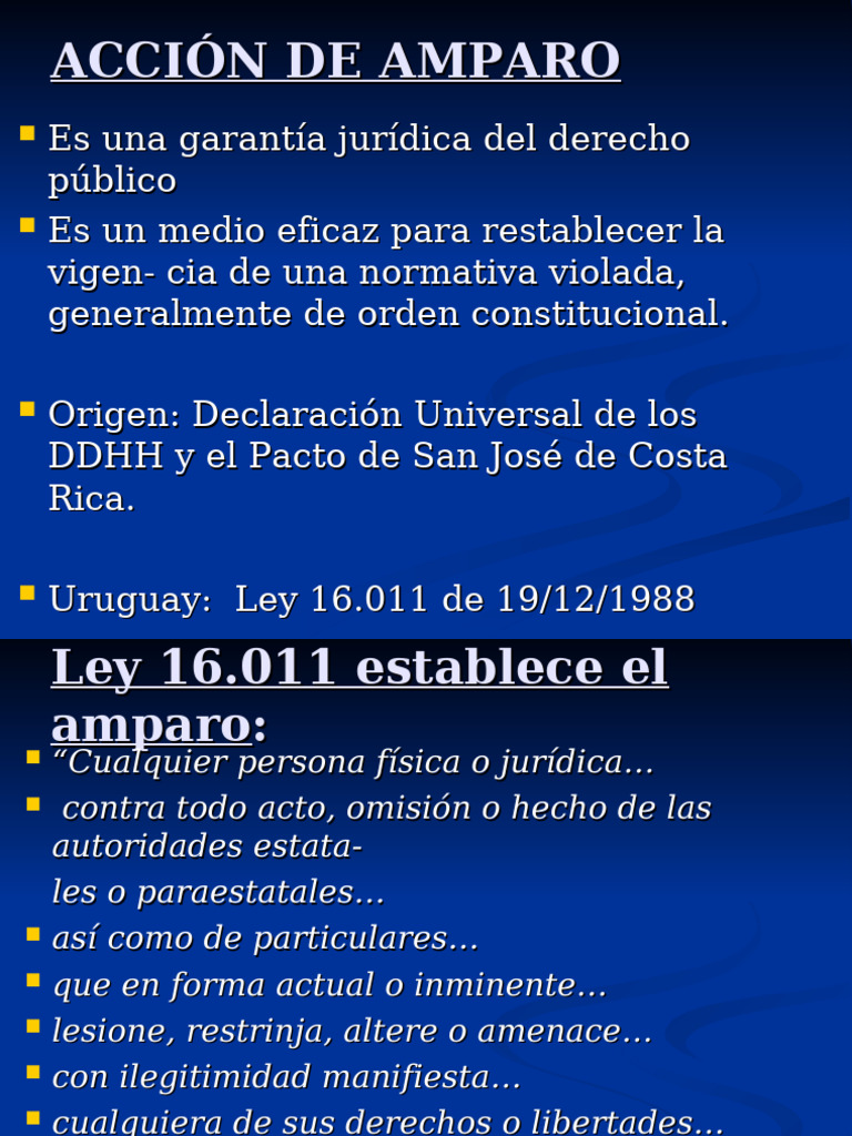 Acción de Amparo | PDF | Habeas corpus | Justicia