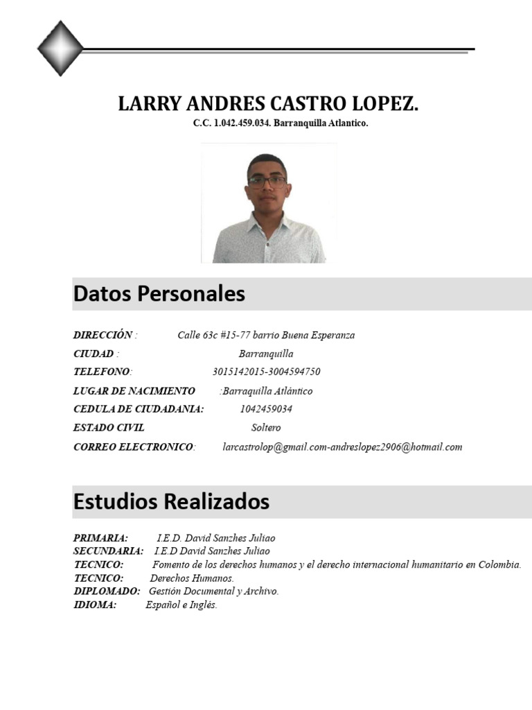 Currículum de Larry Castro López | PDF