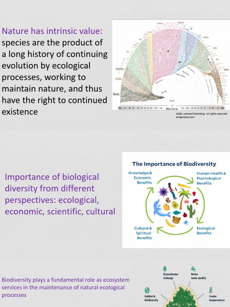 Understanding Biodiversity and Ecosystem Services | PDF | Ecosystem ...