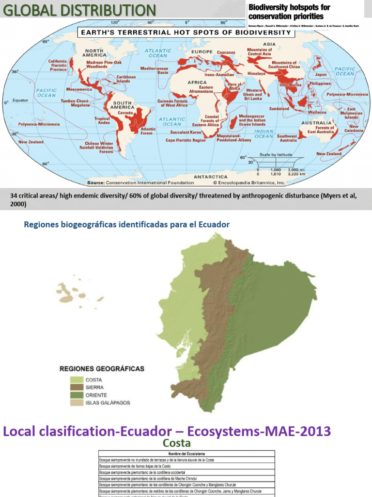 Global Distribution | PDF