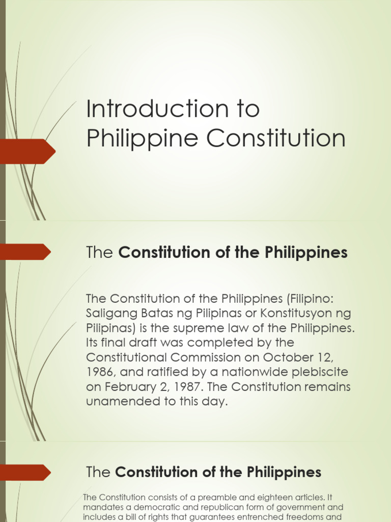 Overview of the Philippine Constitution | PDF | Search And Seizure ...