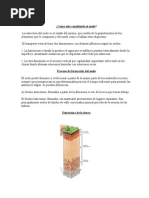 Download Como Esta Constituido El Suelo by Jairo Molina SN93979510 doc pdf