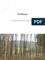 El Neusa