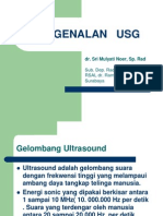 Pengenalan Usg