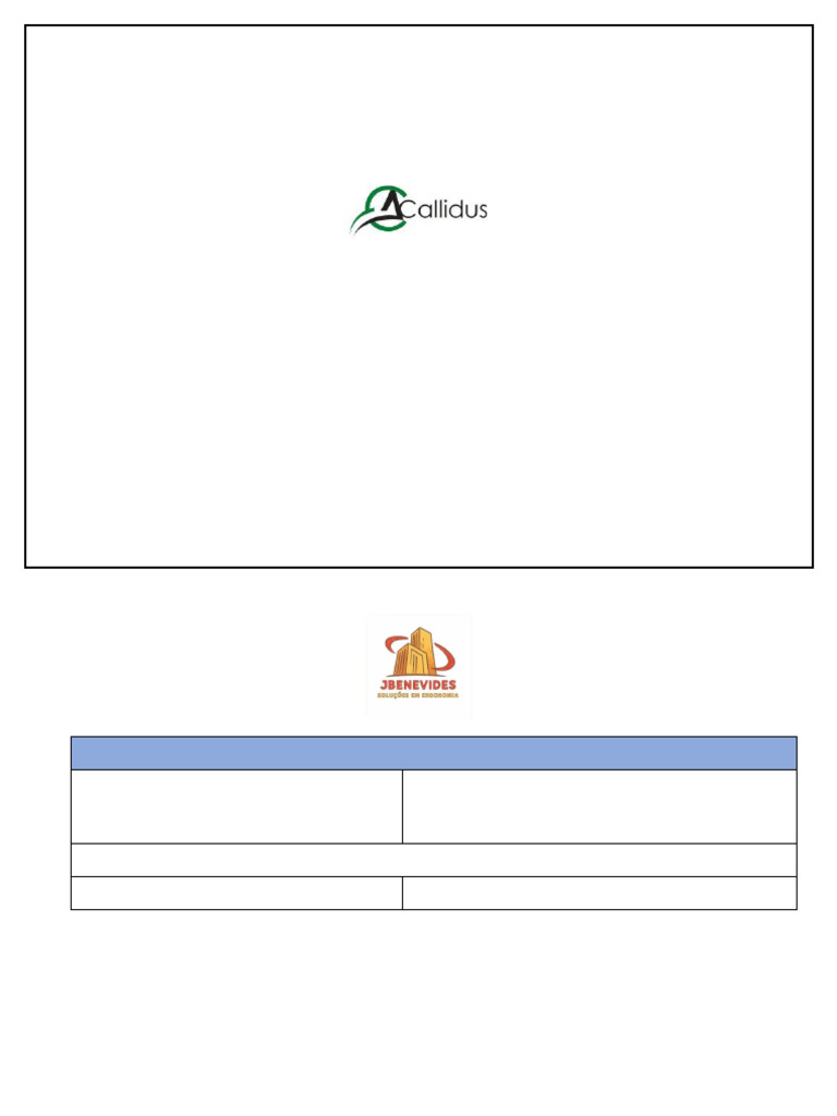 Análise Ergonômica do Trabalho na Callidus | PDF