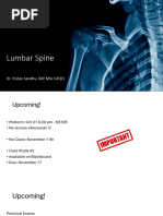 Trunk MMT and ROM Assessment Guide | PDF | Anatomical Terms Of Motion ...