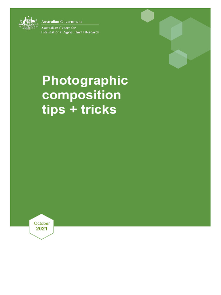 Photography Composition Tips & Tricks | PDF | Composition (Visual Arts ...
