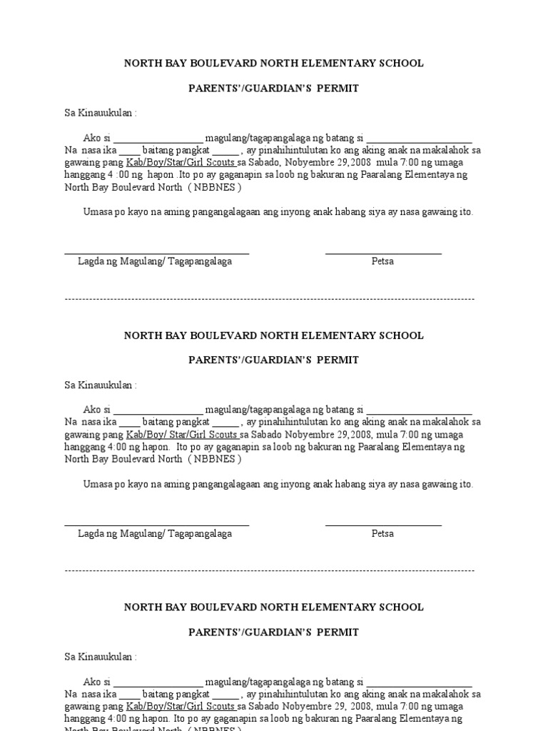 Boy Scout Permit | PDF