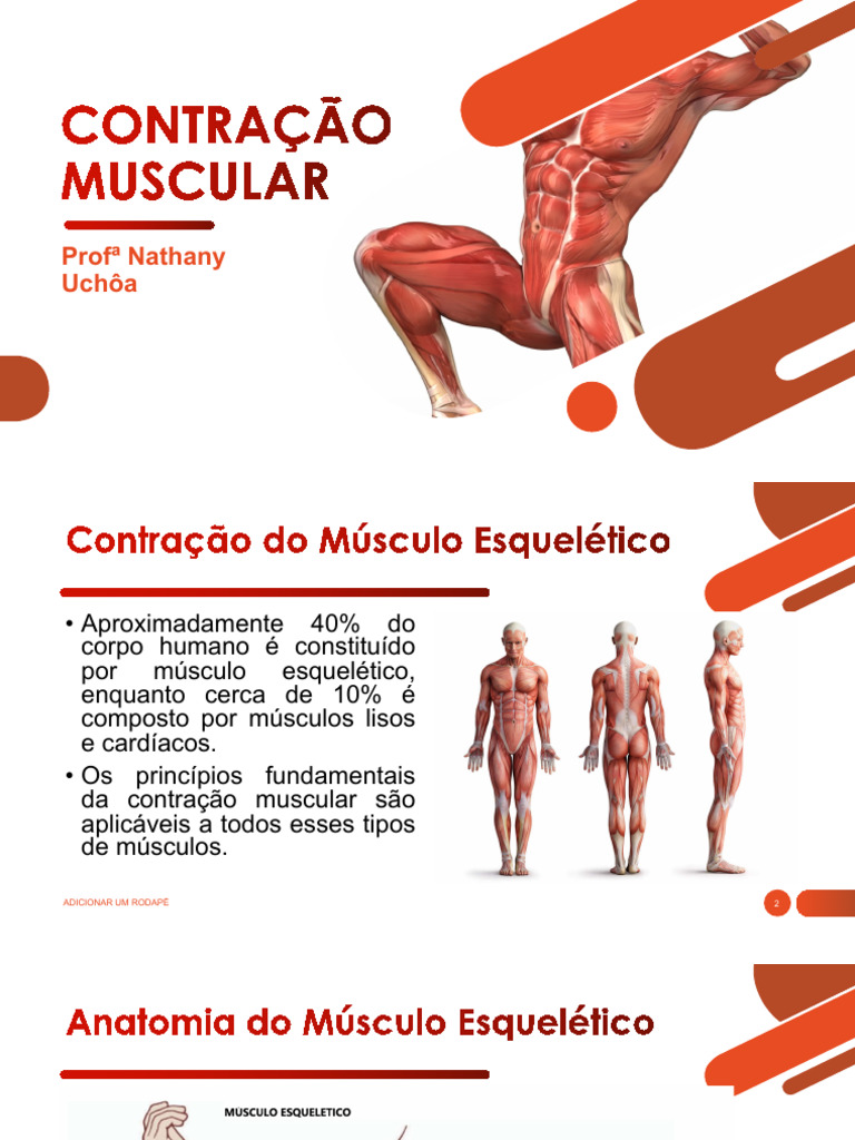Contração Muscular | PDF | Músculo | Anatomia