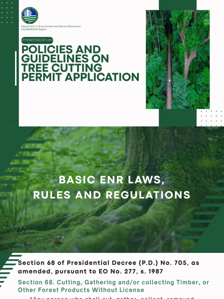 Tree Cutting Permit Guidelines 2020 | PDF | Forests | Trees