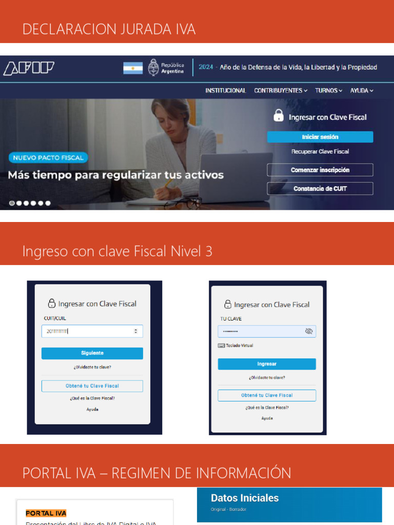 Declaración Jurada IVA: Guía de Carga | PDF