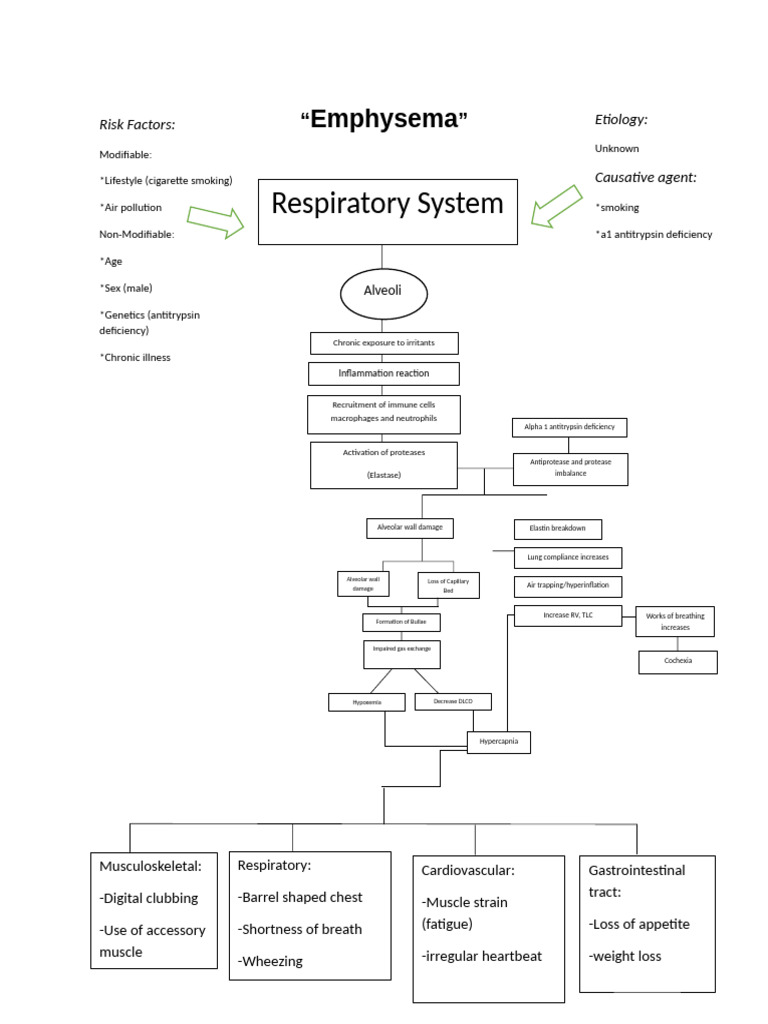 inbound6688081476494838275 | PDF | Chronic Obstructive Pulmonary ...
