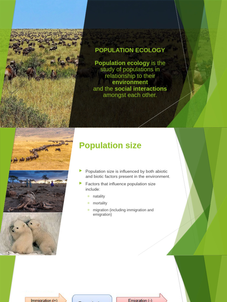 Understanding Population Ecology Factors | PDF | Predation | Parasitism