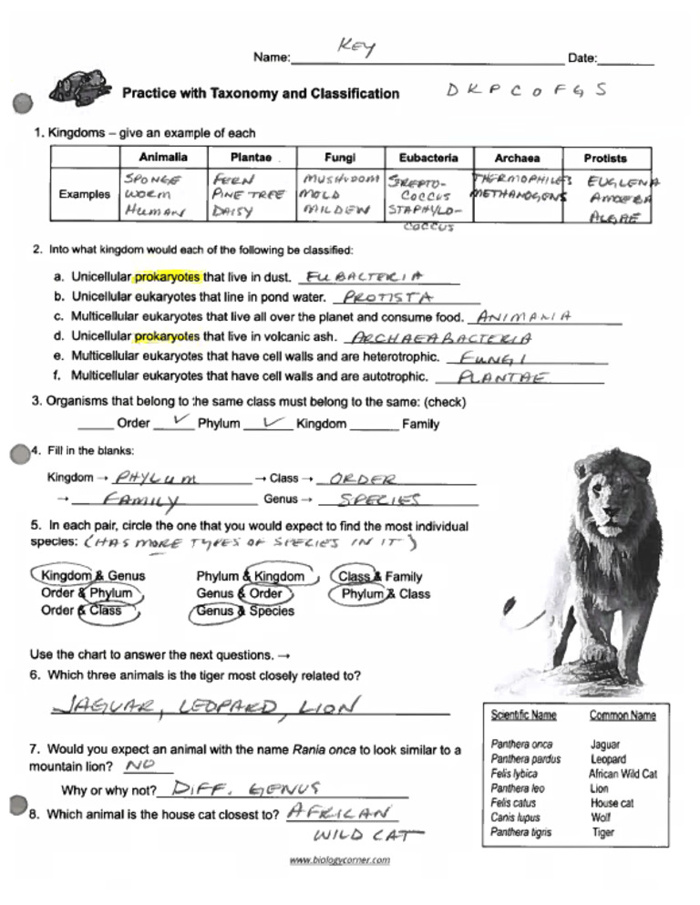 Practice Taxonomy Classification Ws Key | PDF