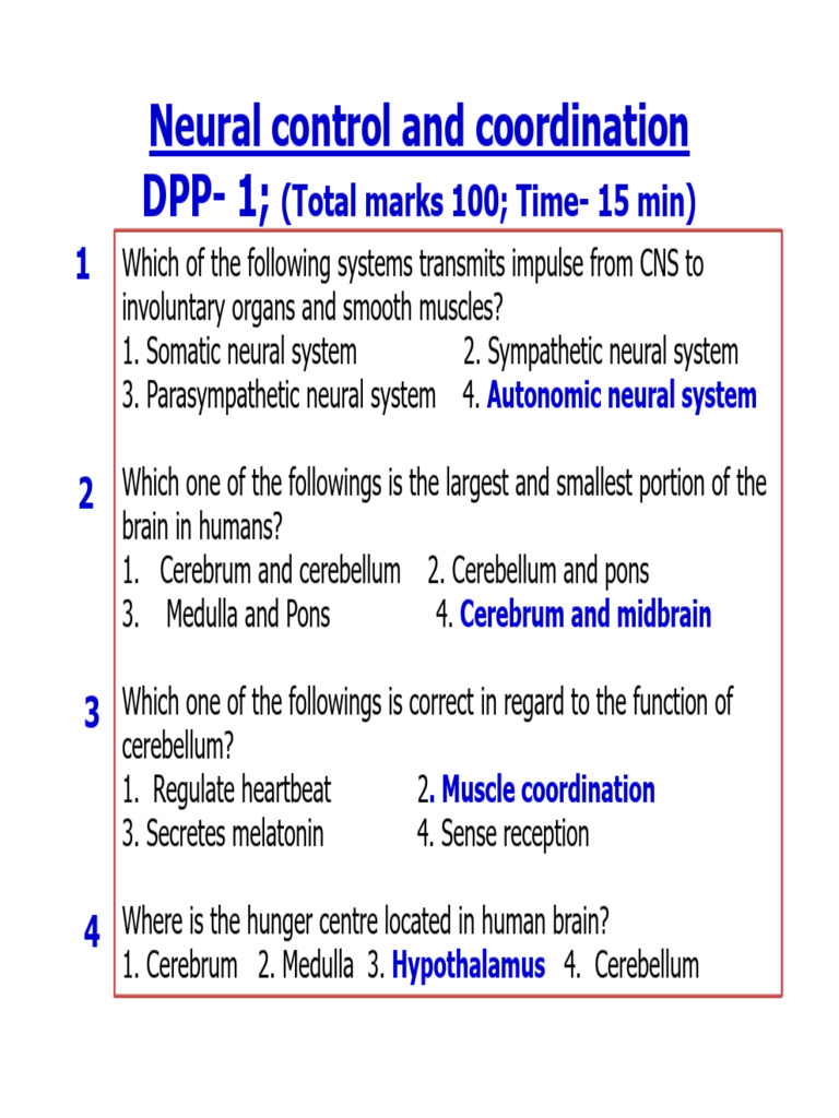 Neural Control and Coordination Quiz | PDF | Nervous System | Neuron
