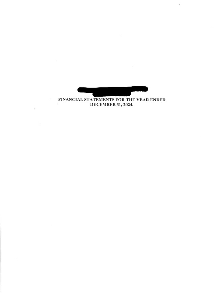 Financial Statement 2 Example | PDF