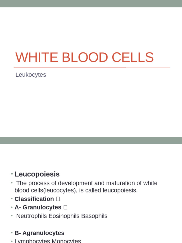 Theory498503 5 | PDF | White Blood Cell | Leukemia
