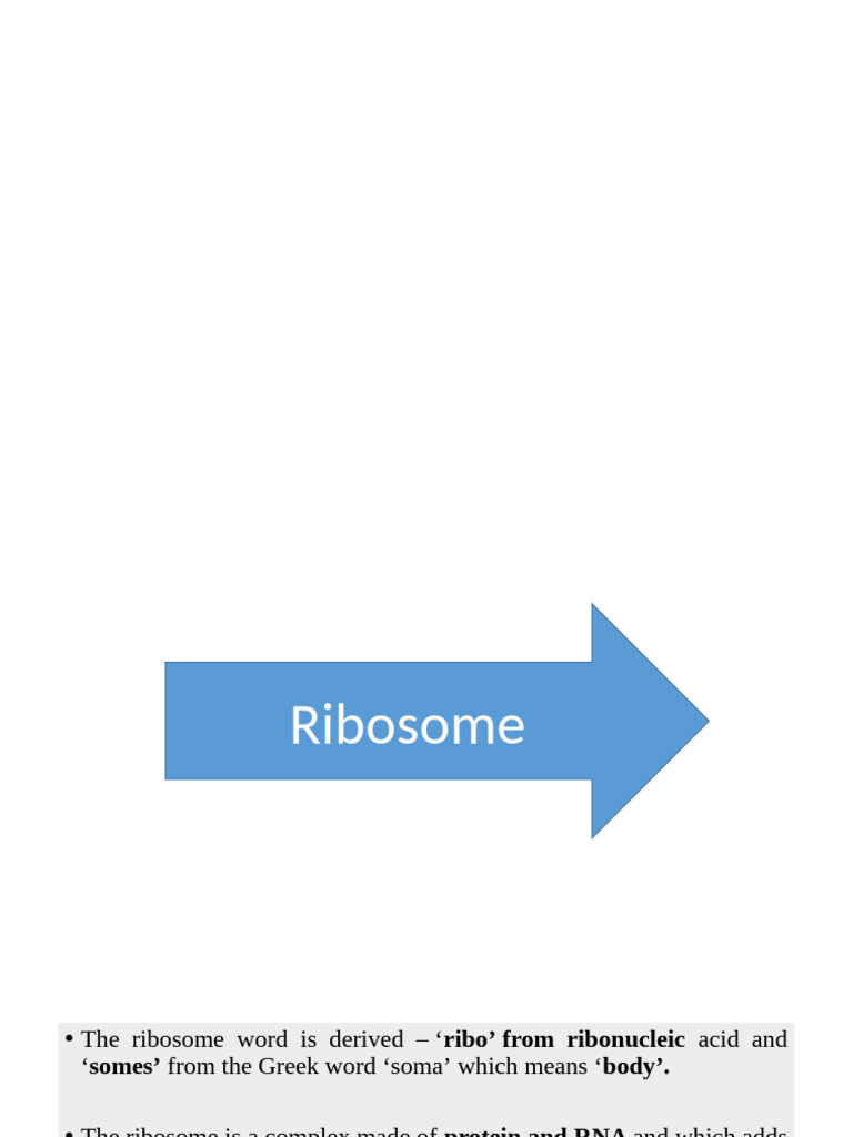 Ribosome CB Biotech Unit 2 | PDF | Ribosomal Rna | Ribosome