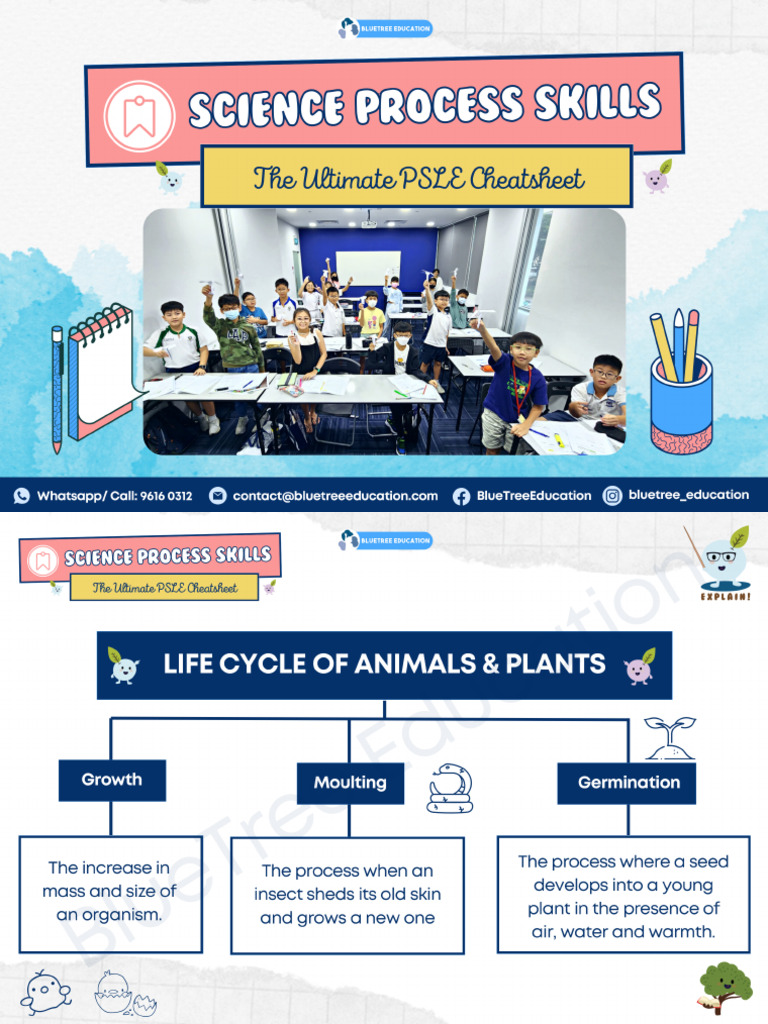 PSLE Science Process Skills PSLE Cheatsheet | PDF