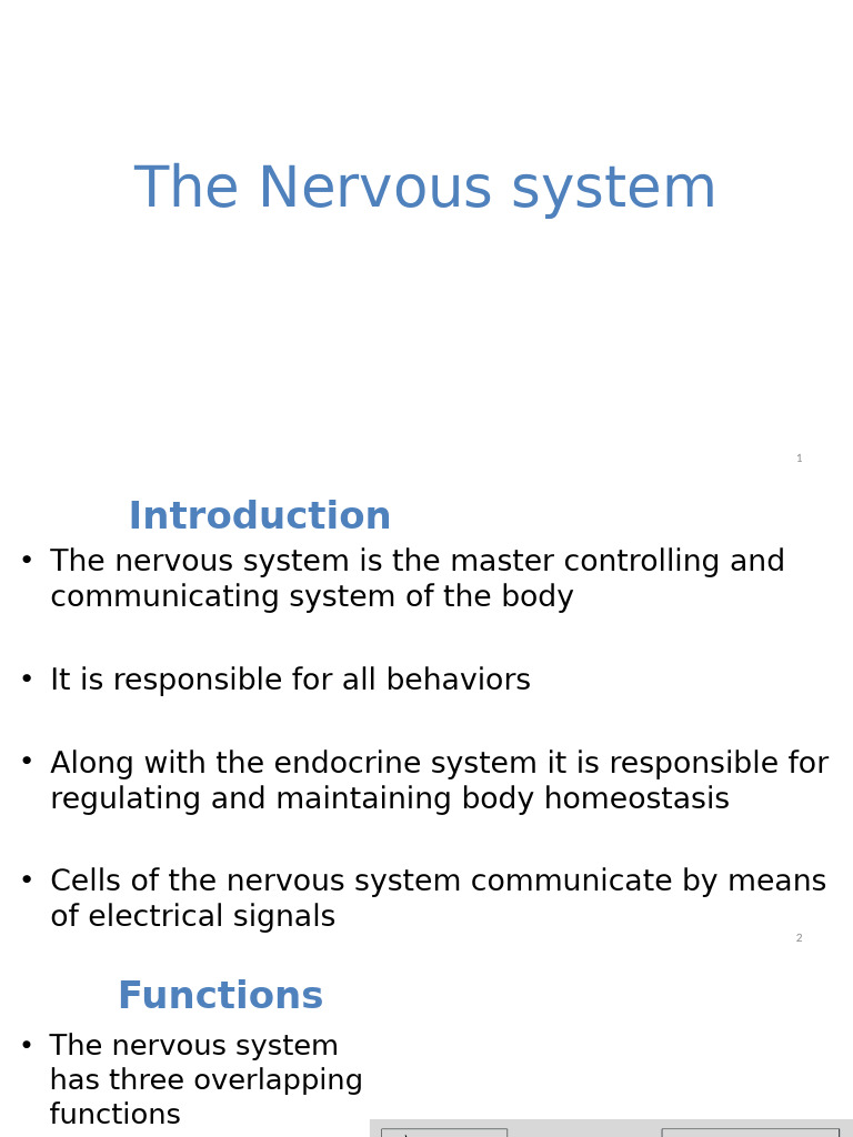 Overview of the Nervous System Functions | PDF | Cerebrospinal Fluid ...