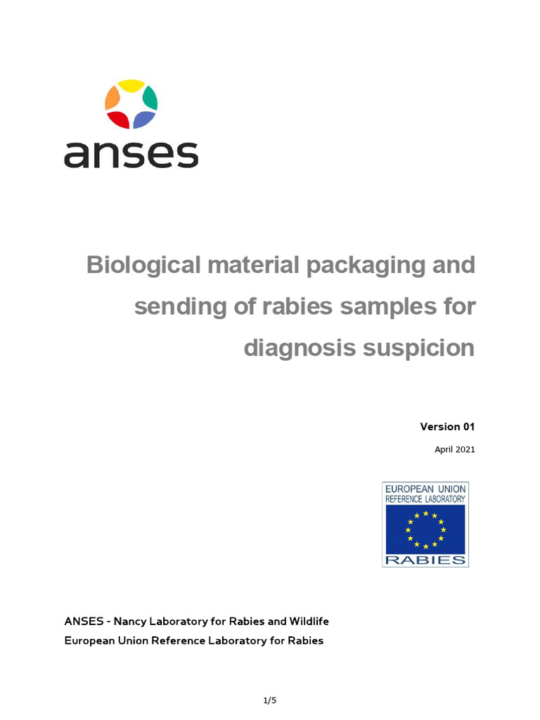 Eurl Rabies Diag Transport 04 2021 | PDF | Dangerous Goods | Ice