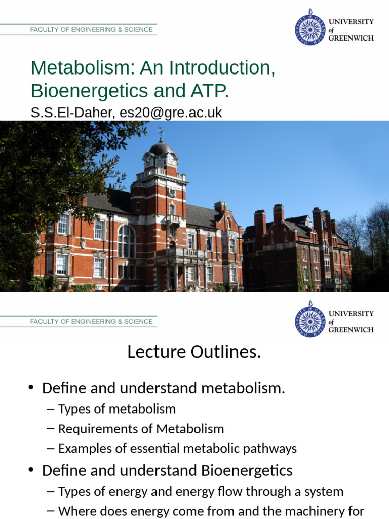 Introduction to Metabolism and Bioenergetics | PDF | Metabolism ...