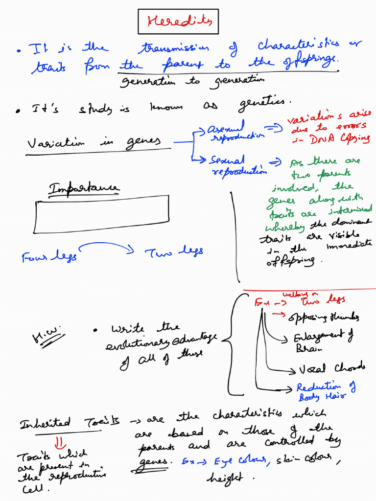 Heredity Notes | PDF