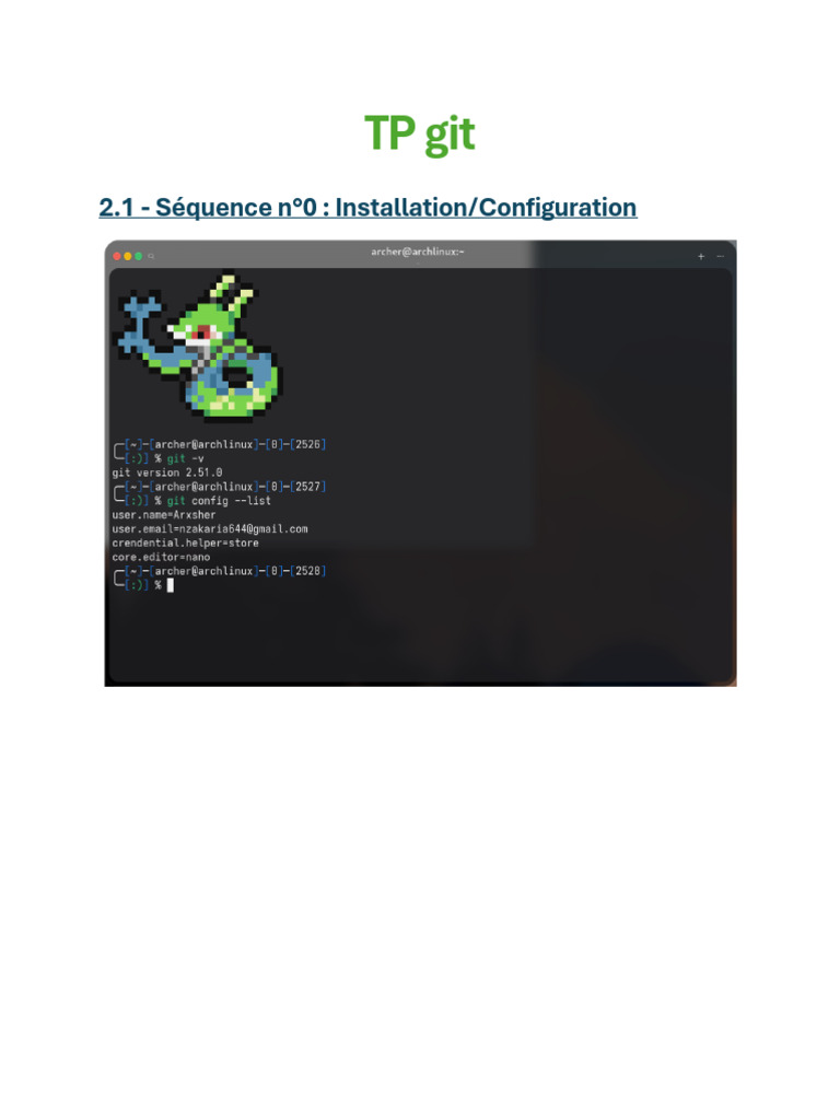 Guide d'installation et commandes Git | PDF