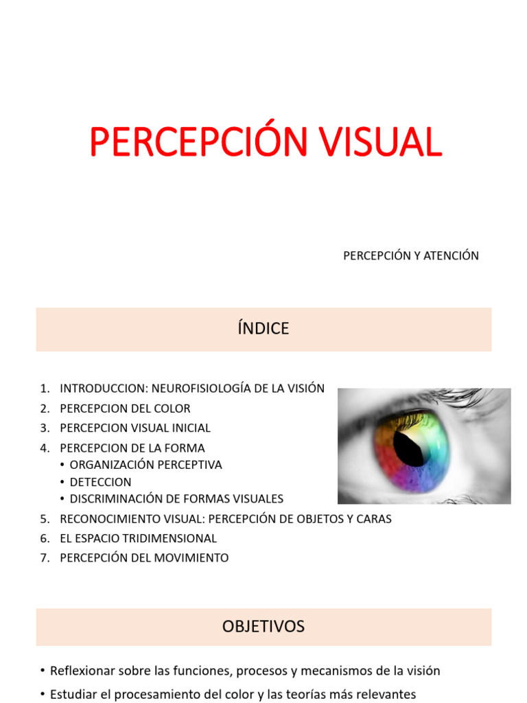 Procesos de Percepción Visual y Color | PDF | Percepción visual | Color