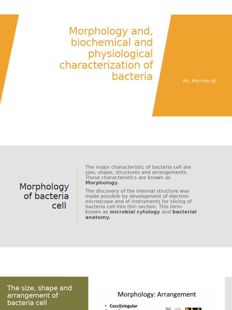 Bacterial Morphology Overview | PDF | Bacteria | Cell Biology