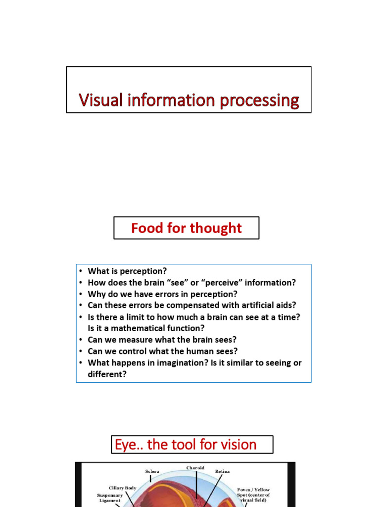 Understanding Visual Perception Processes | PDF | Visual System ...