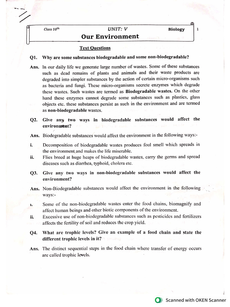 Our Environment Questions | PDF
