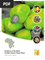 Download Cashew Processing in Benin by Rakesh Gupta SN94006032 doc pdf