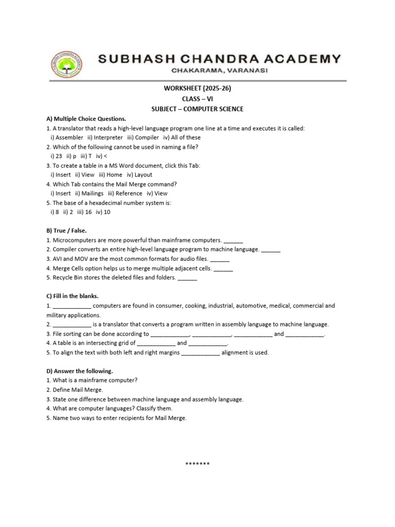Class VI Computer Science Worksheet | PDF