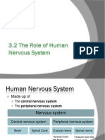 3 2 Role of Human Nervous System 2
