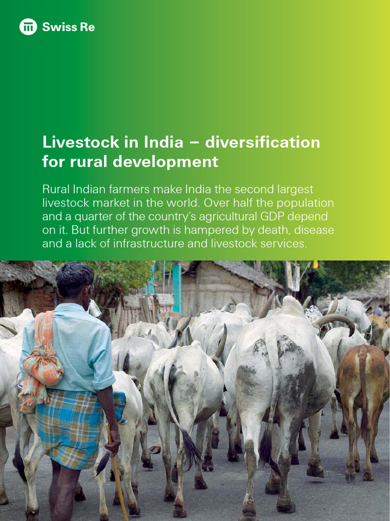Livestock Development for Rural India | PDF | Microfinance | Livestock