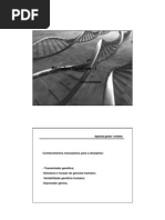 Revisões_herditariedade_ Genética I