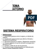 Sistema Respiratorio Anatomia II